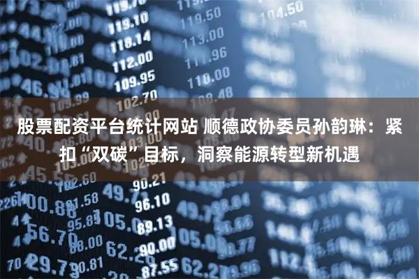 股票配资平台统计网站 顺德政协委员孙韵琳：紧扣“双碳”目标，洞察能源转型新机遇